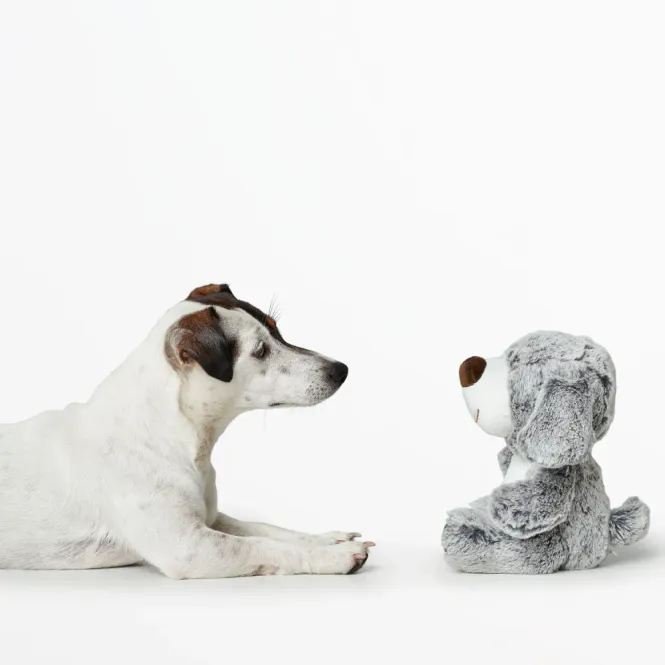 Hovedbilde Hunter Faro hund 30 cm